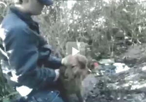 Dude lets this animal suck on his meaty dick