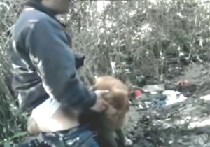 Dude lets this animal suck on his meaty dick