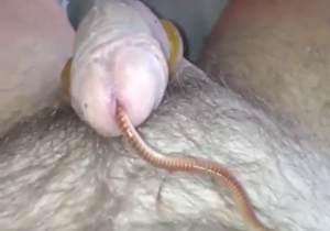 Guy lets this worm slide right inside, why not