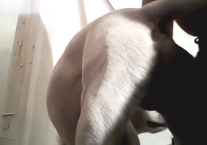 White dog gapist is going to fuck this beast hard