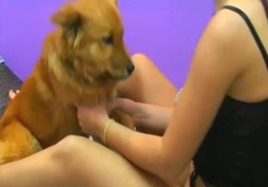 Hard fuck with a dog is going to make her orgasm