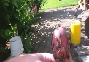 Green flies flock to this dude's cock outside