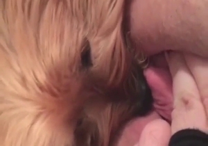 Girl is going to fuck that neighbor dog for real