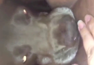 Lick scene showing a grey dog that looks sexy