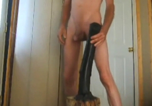 Horse toy's supposed to prepare him for real thing