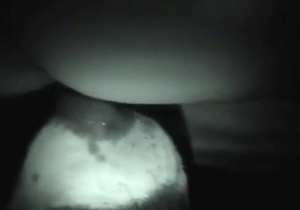 Dog licking session shown up close at night