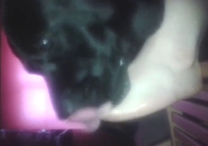 Foot worship session with a dog that licks soles