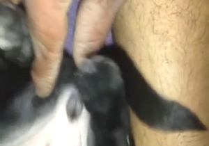 Tiny animal is going to get fucked so fucking deep