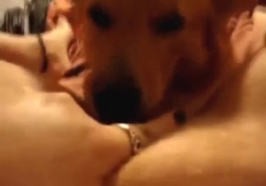 Dog licking porn with the hottest girls out there