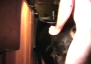 Pasty-looking guy is gonna get off with BLACK DOG