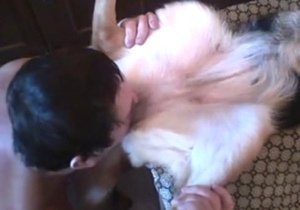 Impressive zoophile porn with lots of hot licking