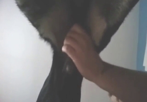 Dude is going to bang a dog's fuckhole for fun