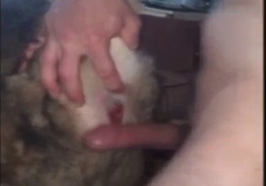 Anal banging experience with a slutty mutt