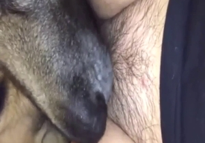 Zoophilic beauty licked by two dogs at once