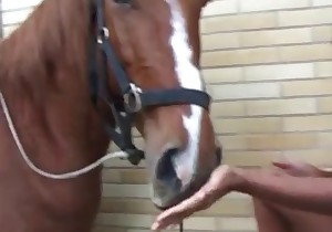 Stallion and two babes with big boobs
