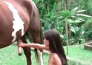 Horse is getting a perfect head