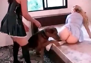 Filthy dog sex action with matures